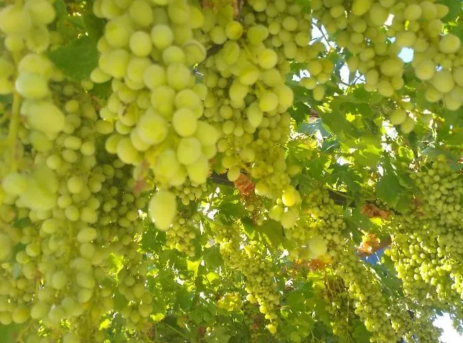 לינה וארוחת בוקר Salda Sagiroglu