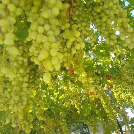 Couette-café Sagiroglu